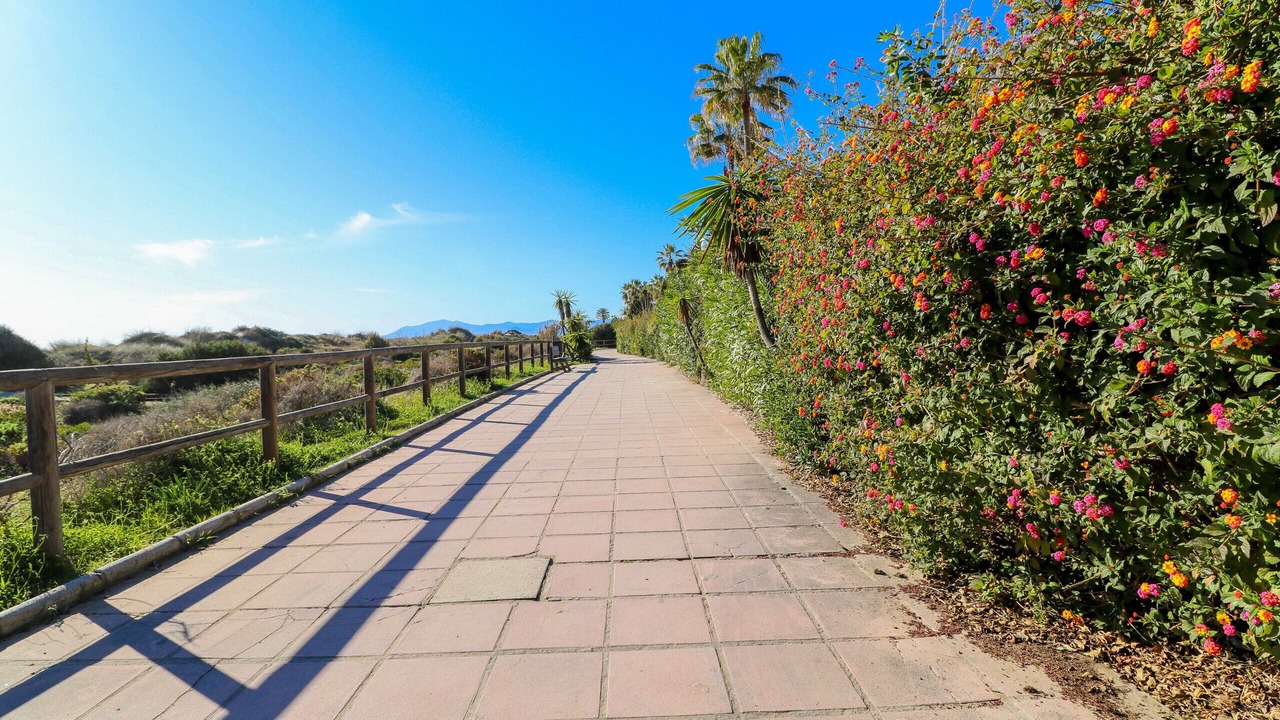 Photo of Outdoor in Nikki Beach