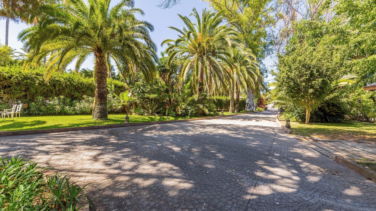 Photo of Others in Guadalmina