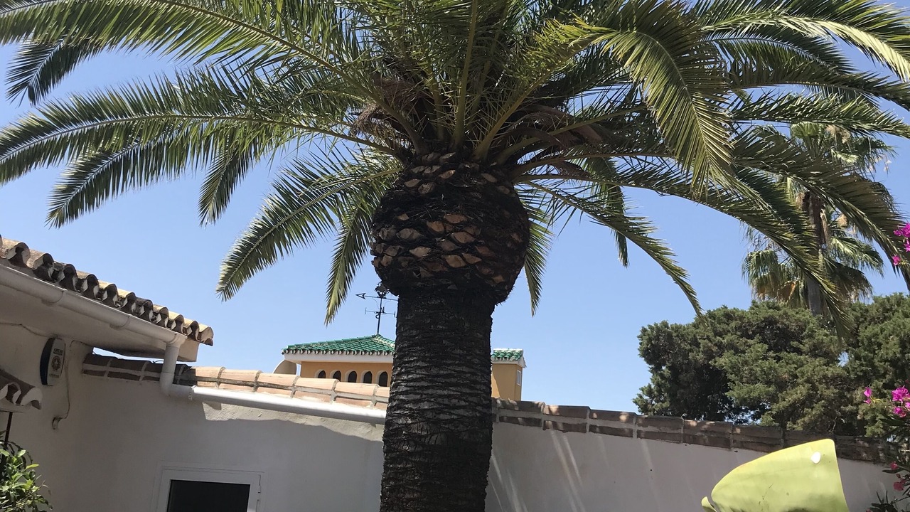 Photo of Outdoor in Urbanizacion Pinos Verdes