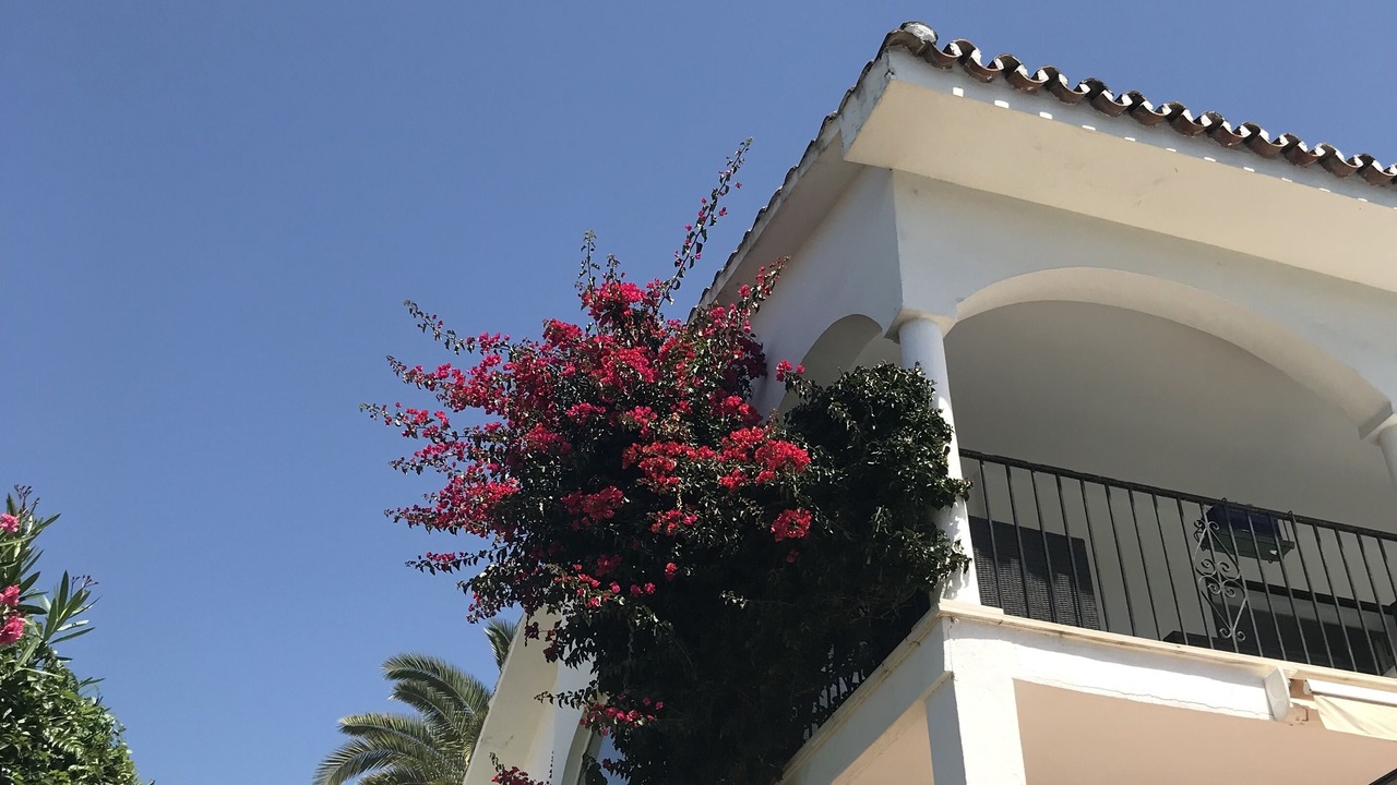 Photo of Outdoor in Urbanizacion Pinos Verdes