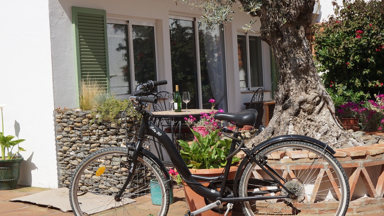 Photo of Outdoor in San Pedro de Alcantara
