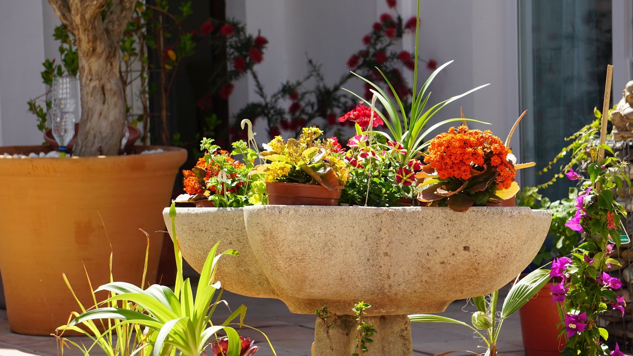 Photo of Outdoor in San Pedro de Alcantara