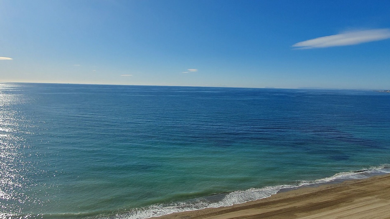 Photo of Others in Marbella City Centre