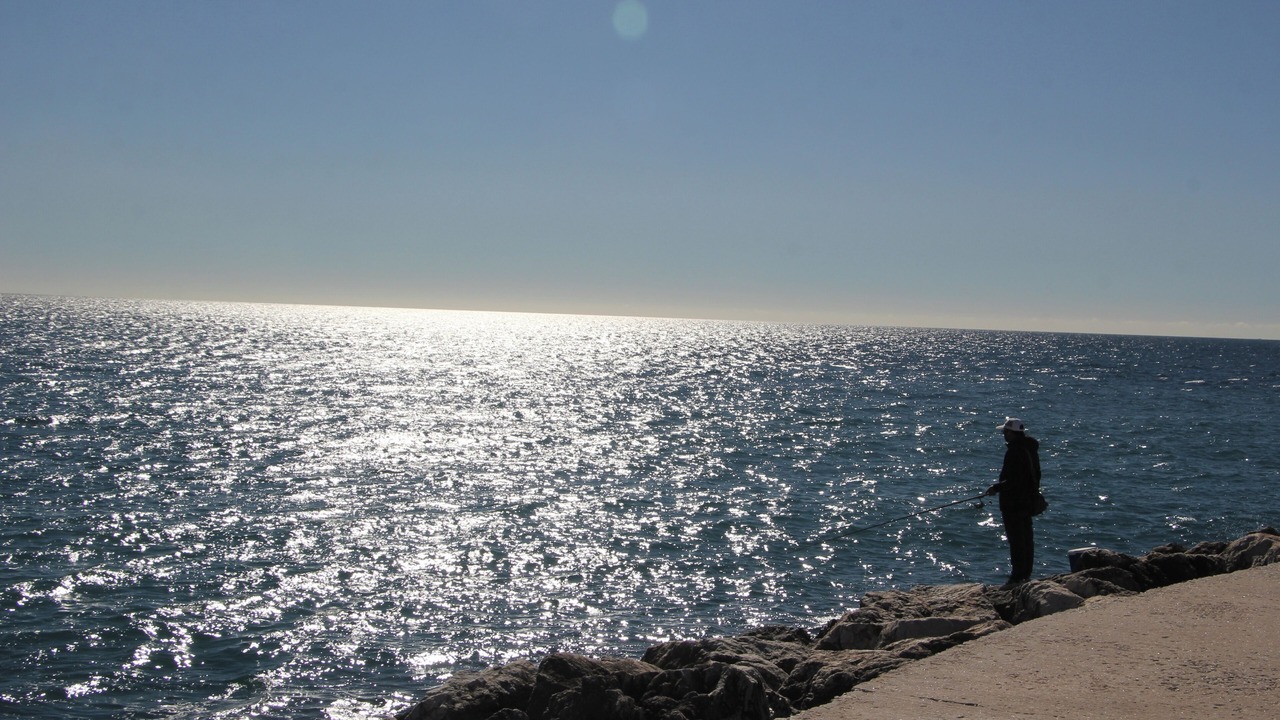 Photo of Others in Cabopino