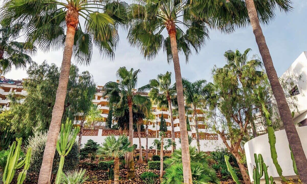 Photo of Outdoor in Nueva Andalucia