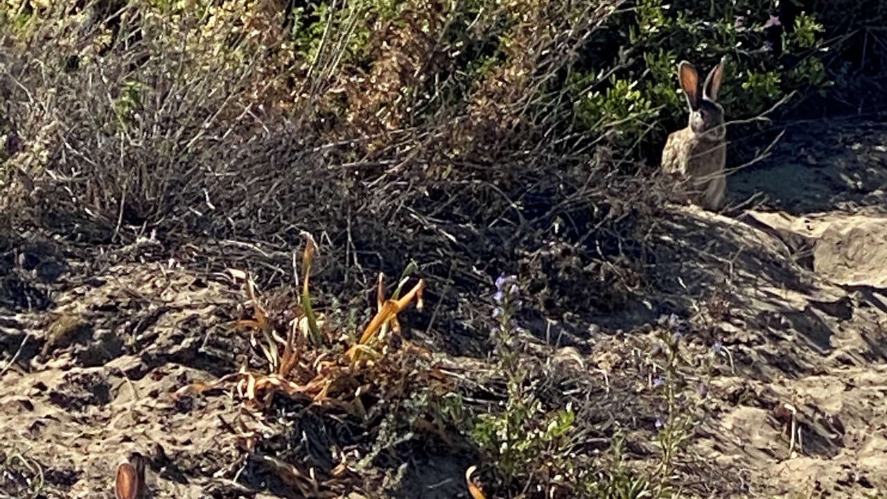 Photo of Outdoor in Cabopino
