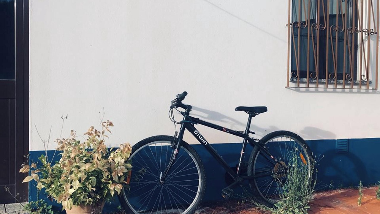 Photo of Others in Sao Bartolomeu de Messines
