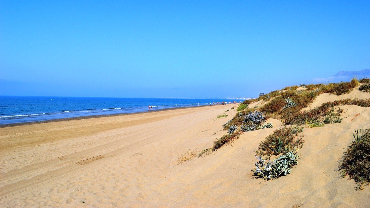 Photo of Others in Elviria
