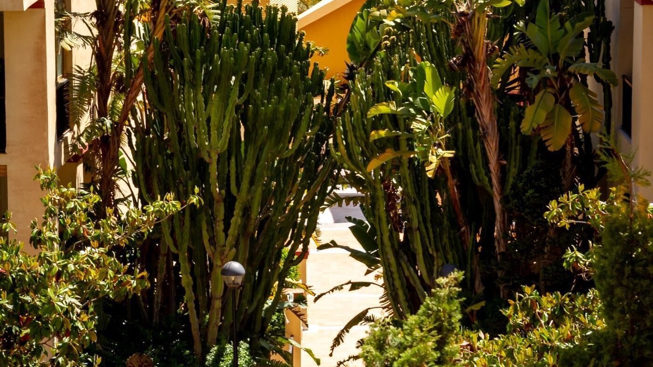 Photo of Outdoor in Nikki Beach