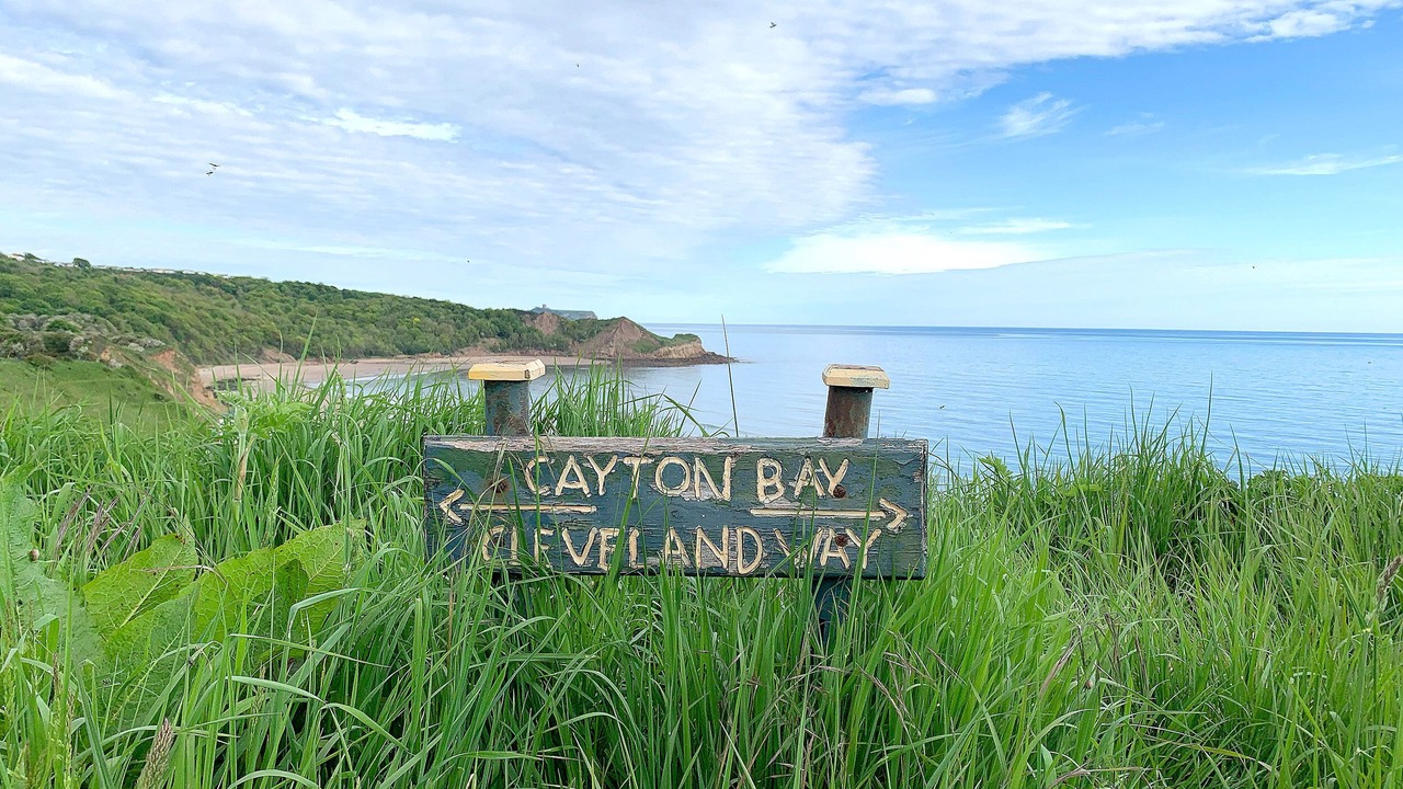 Photo of Outdoor in Cayton Bay