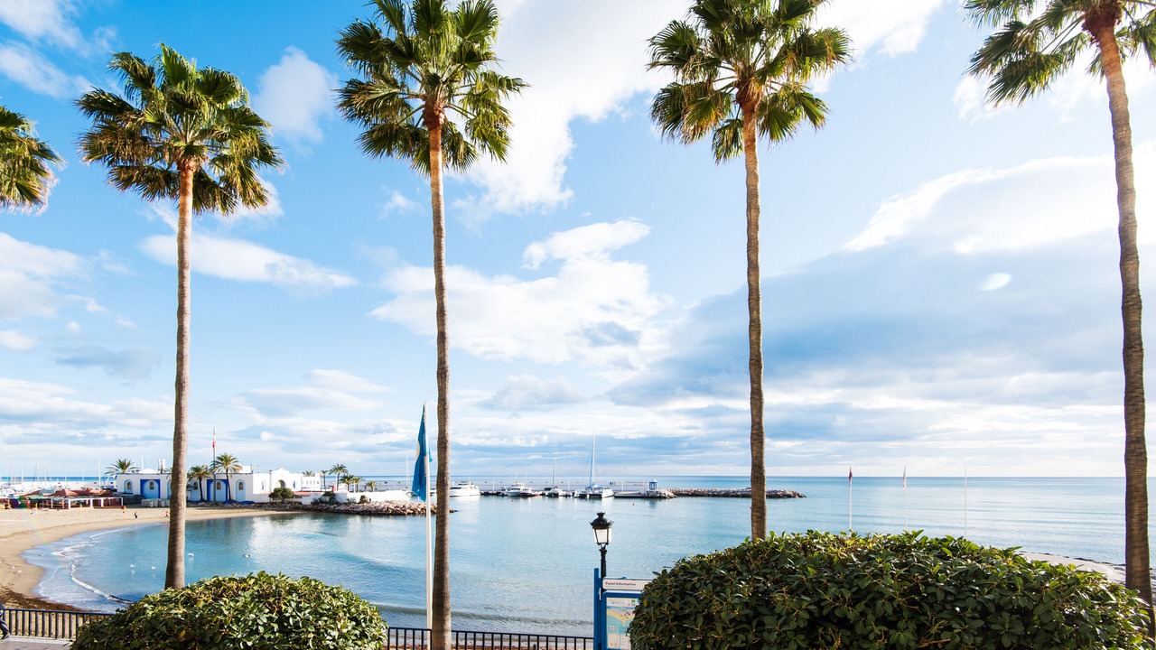 Photo of Others in Marbella City Centre