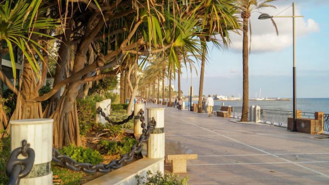 Photo of Others in Marbella City Centre