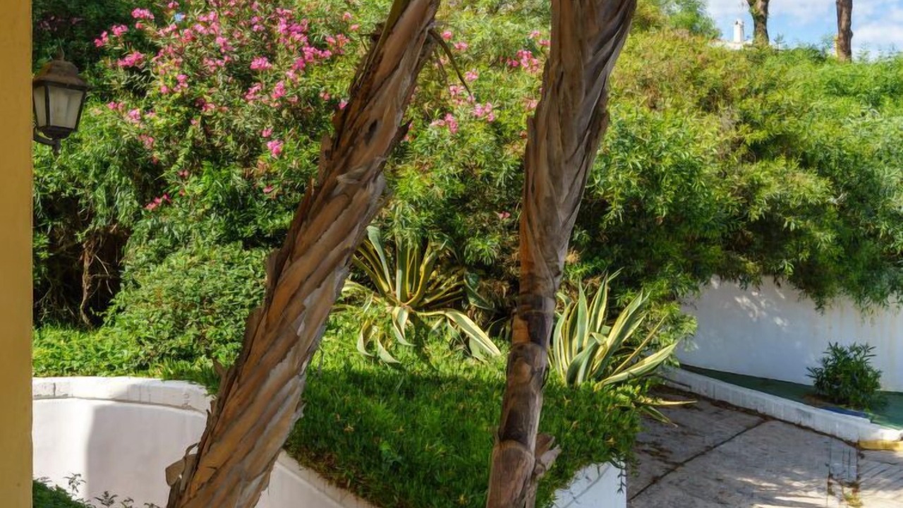 Photo of Outdoor in Cabopino