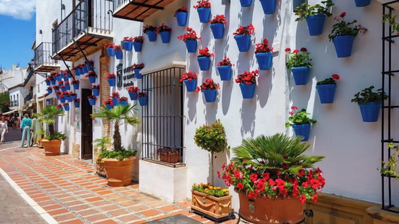 Photo of Others in Marbella
