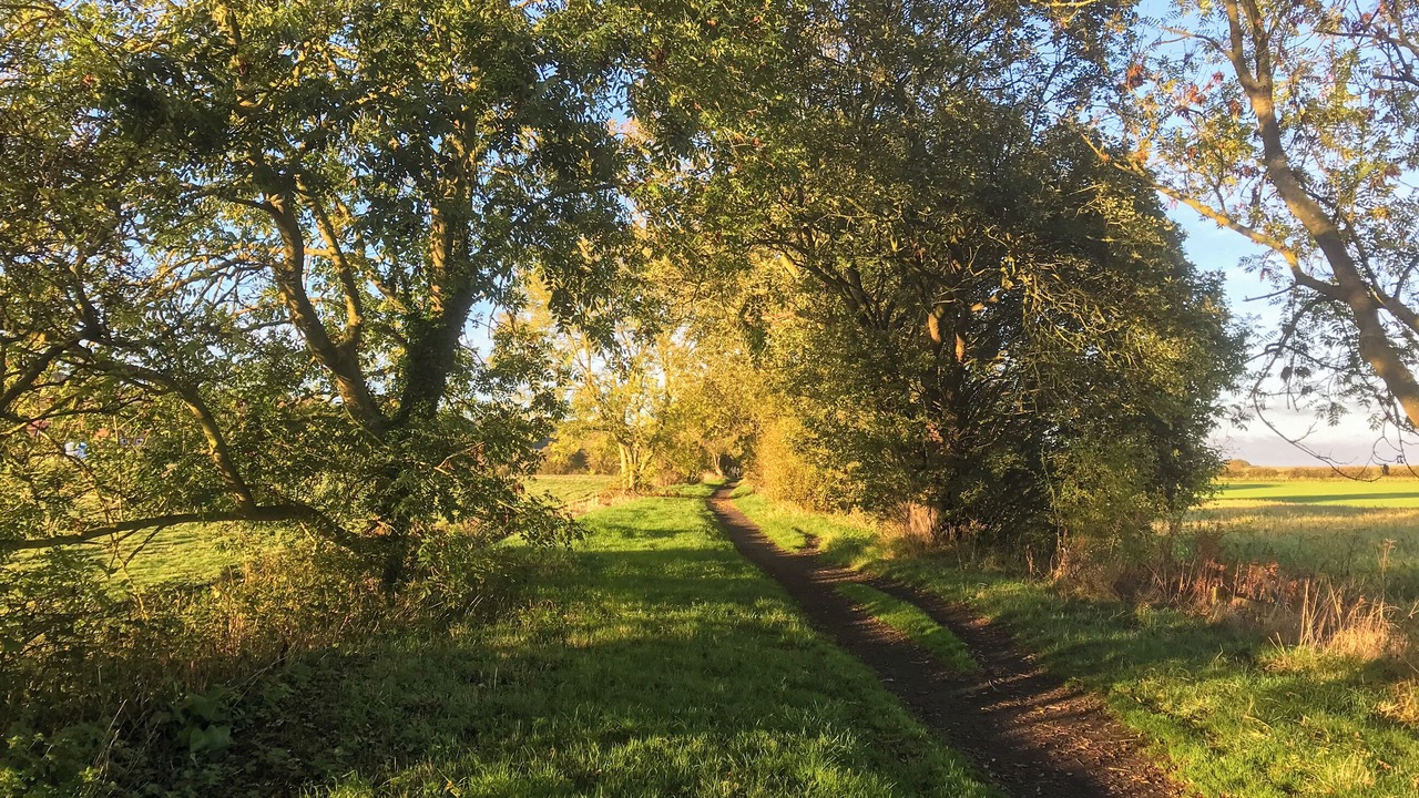 Photo of Others in Burniston
