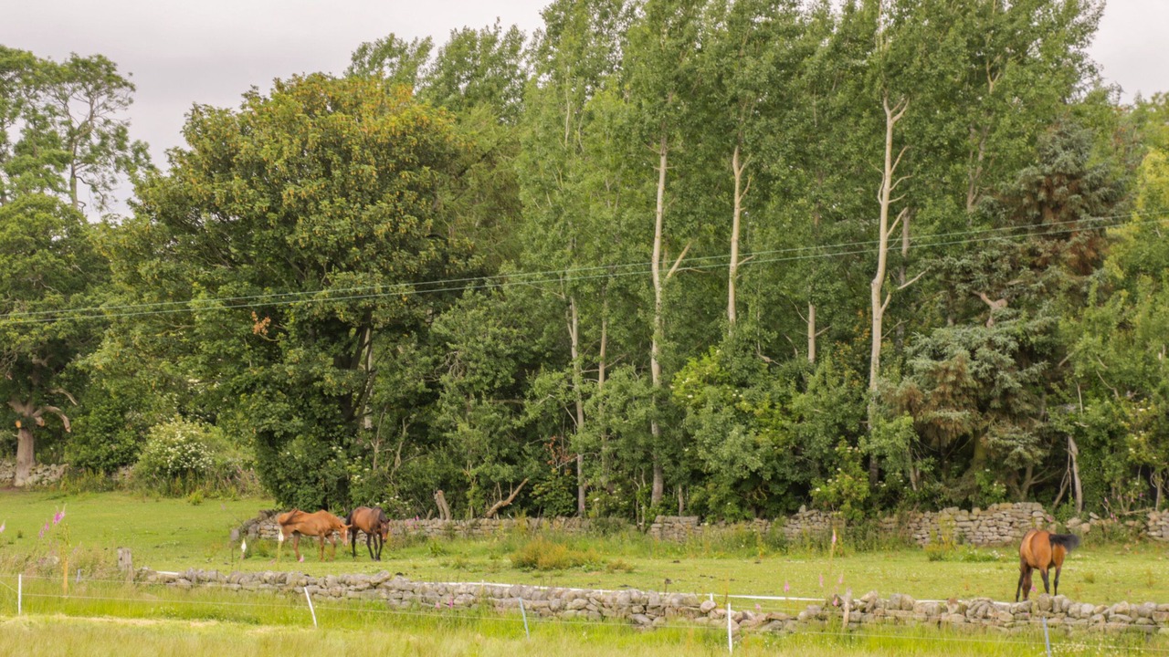 Photo of Outdoor in Scalby