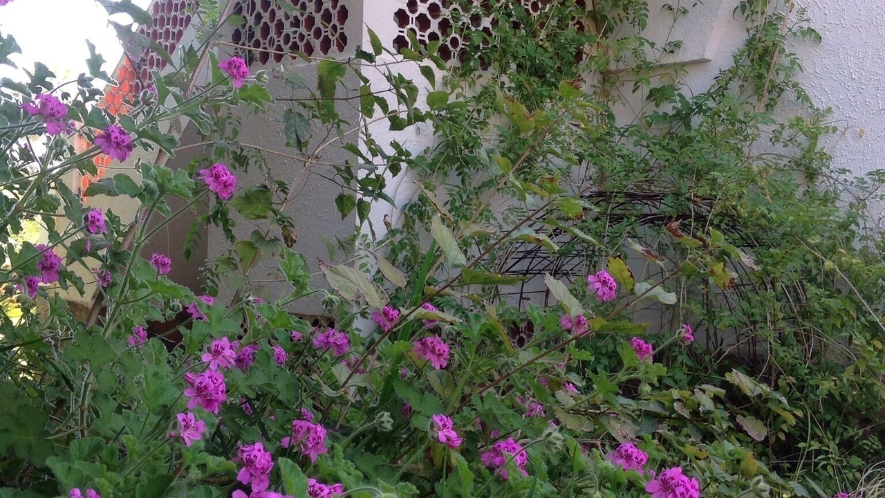 Photo of Outdoor in Urbanizacion Marbessa
