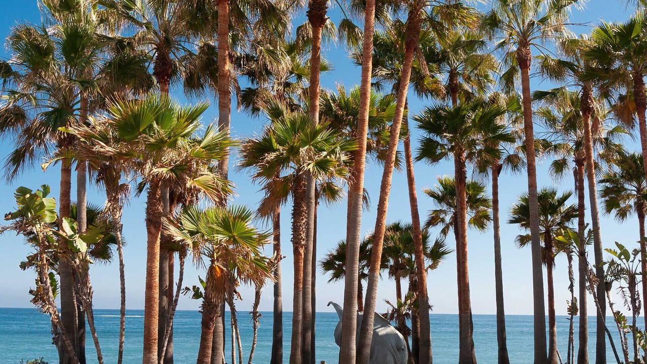 Photo of Others in San Pedro de Alcantara