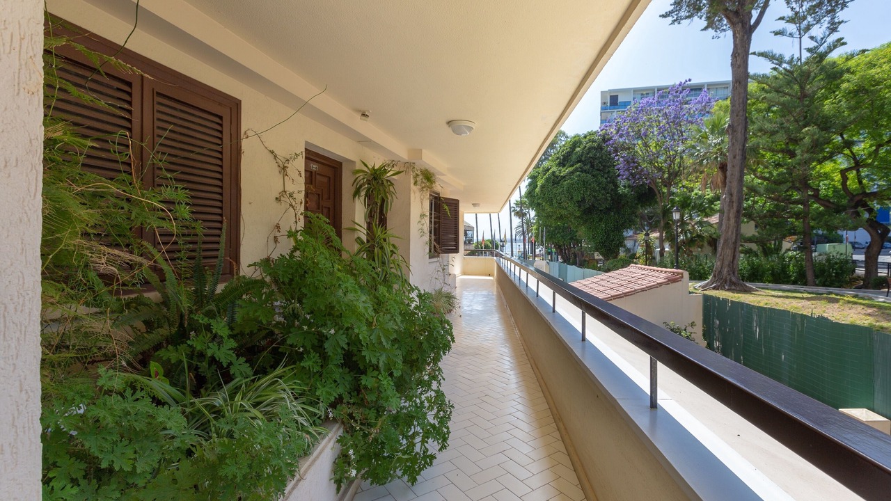 Photo of Outdoor in Marbella City Centre