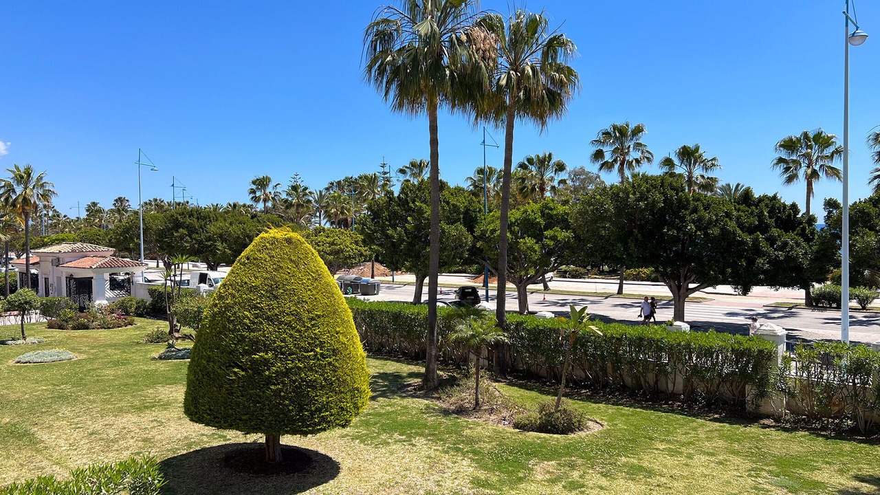 Photo of Others in San Pedro de Alcantara