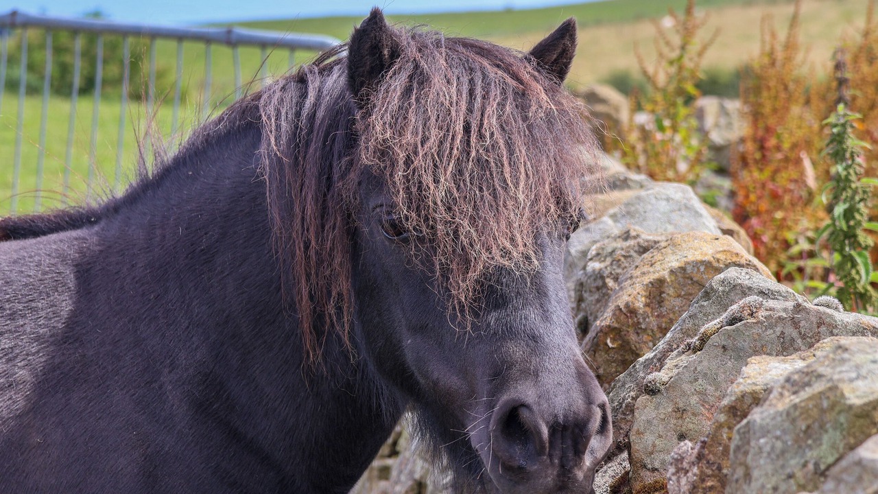 Photo of Others in Scarborough