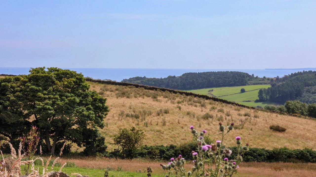 Photo of Outdoor in Scarborough