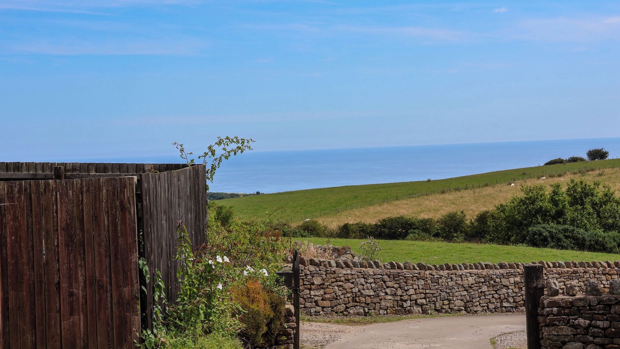 Photo of Outdoor in Scarborough
