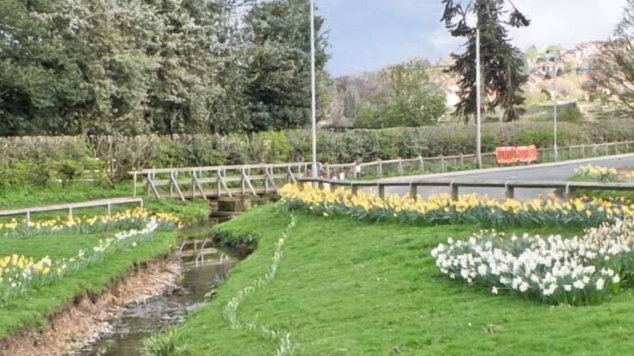 Photo of Outdoor in Scarborough