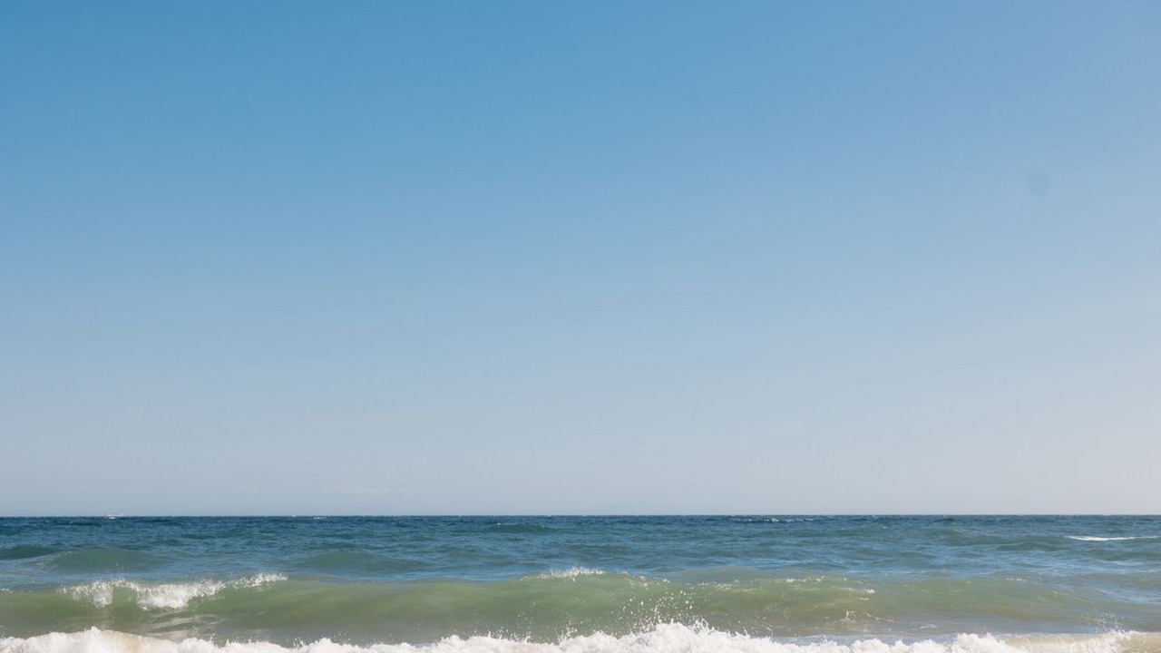 Photo of Others in Marbella