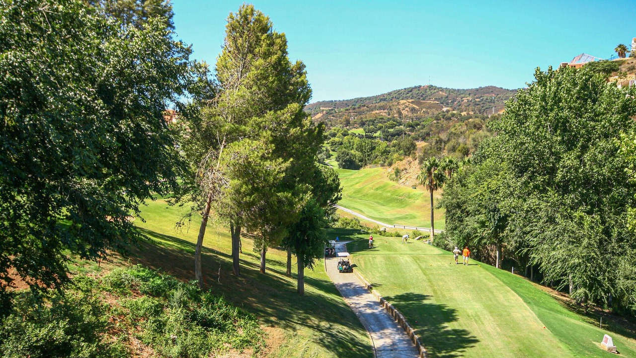 Photo of Others in Marbella