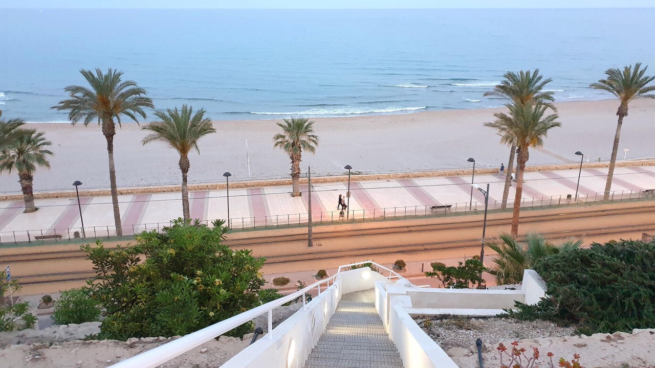 Photo of Others in Muchamiel