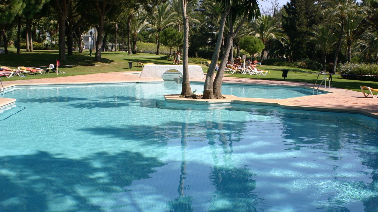 Photo of Others in Puerto Banus