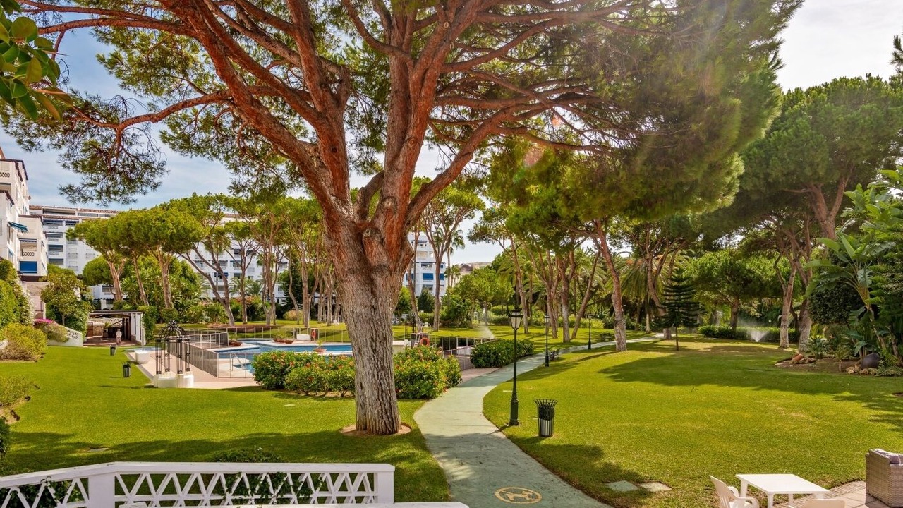 Photo of Others in Puerto Banus
