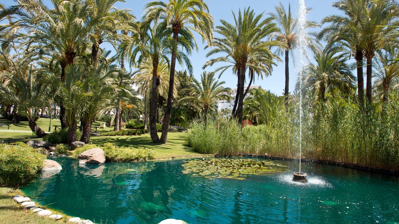 Photo of Others in Puerto Banus