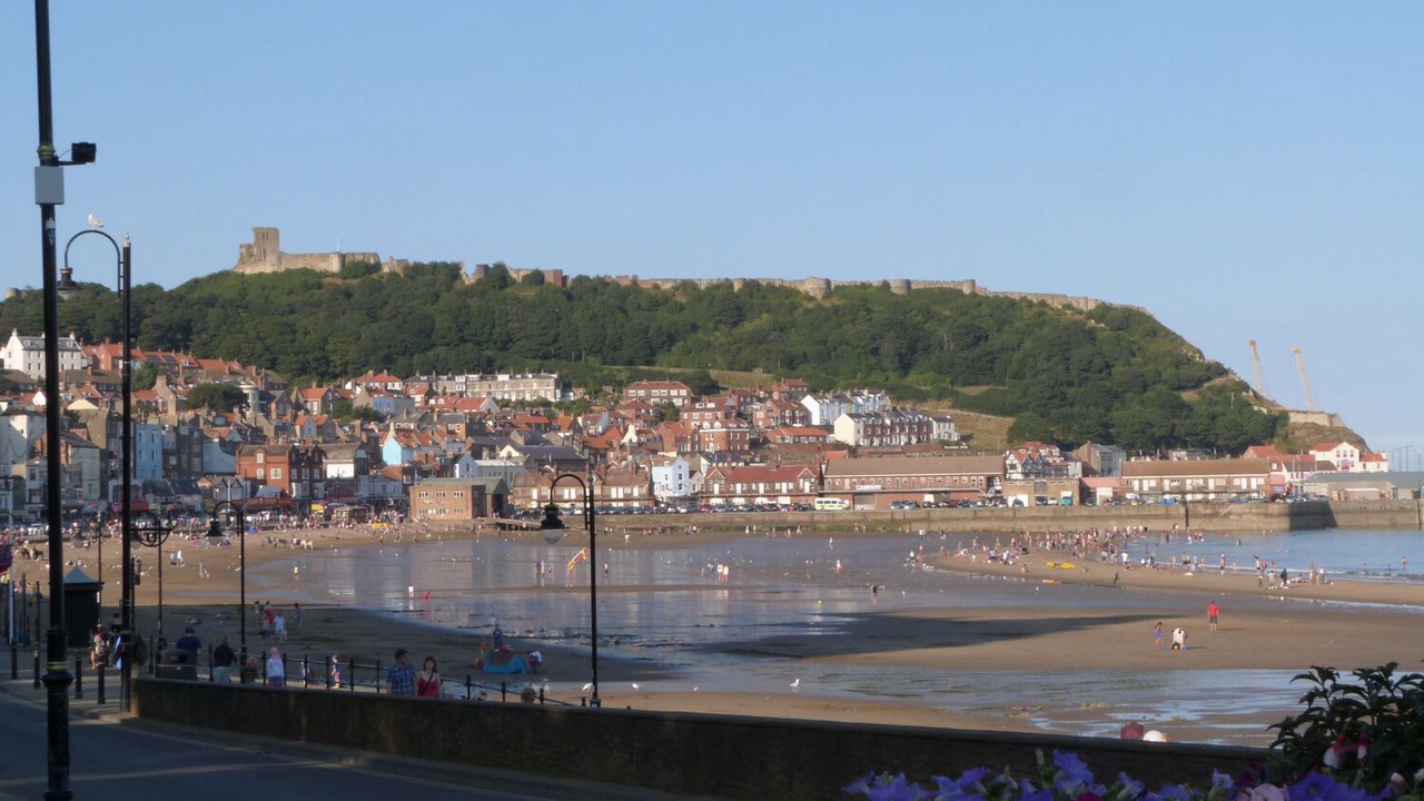 Photo of Others in Scarborough