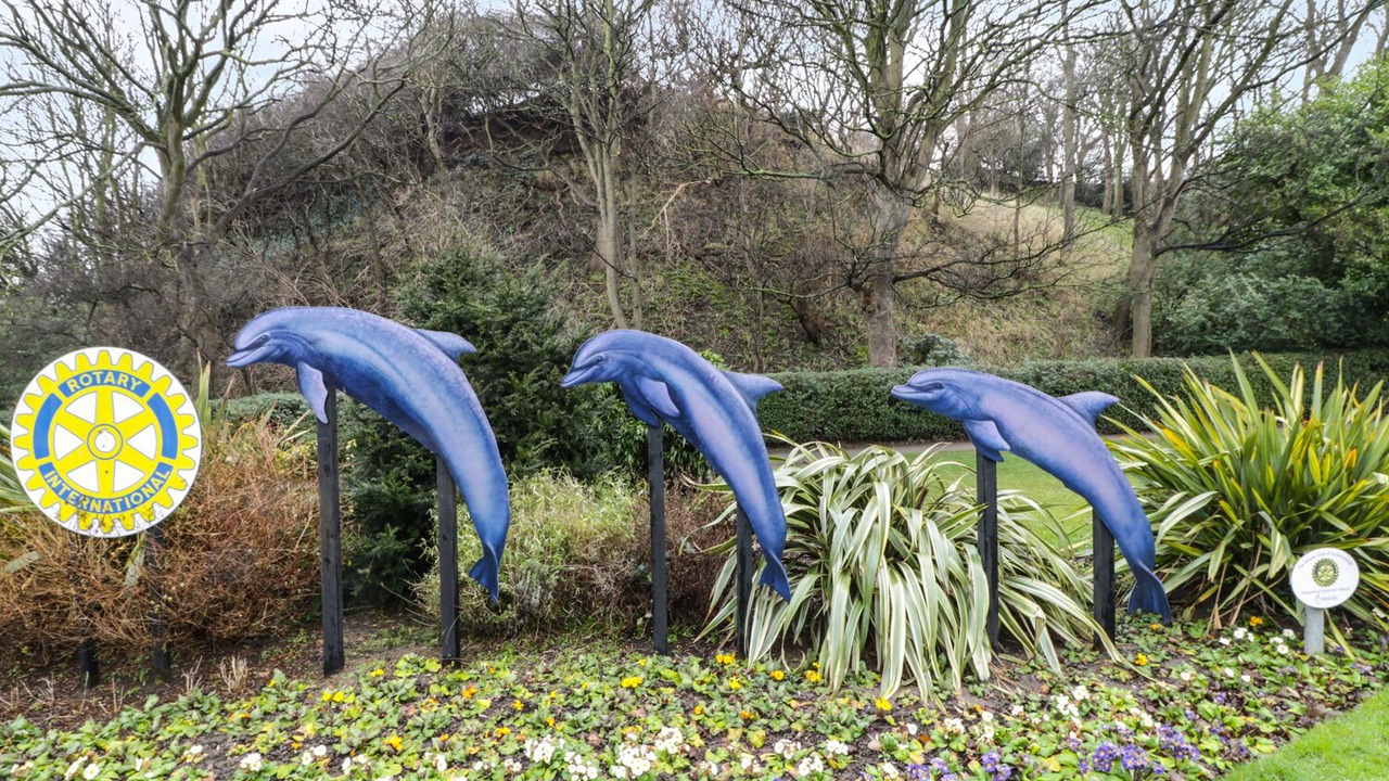 Photo of Outdoor in Scarborough