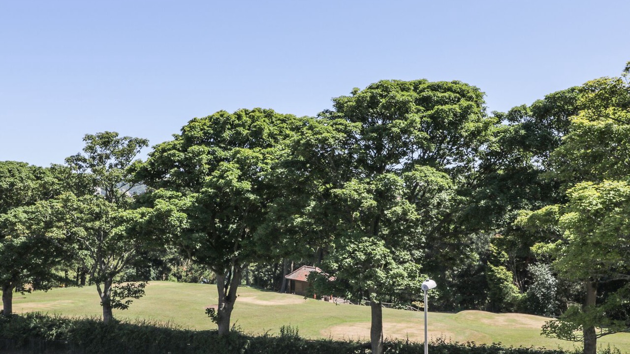 Photo of Outdoor in Scarborough