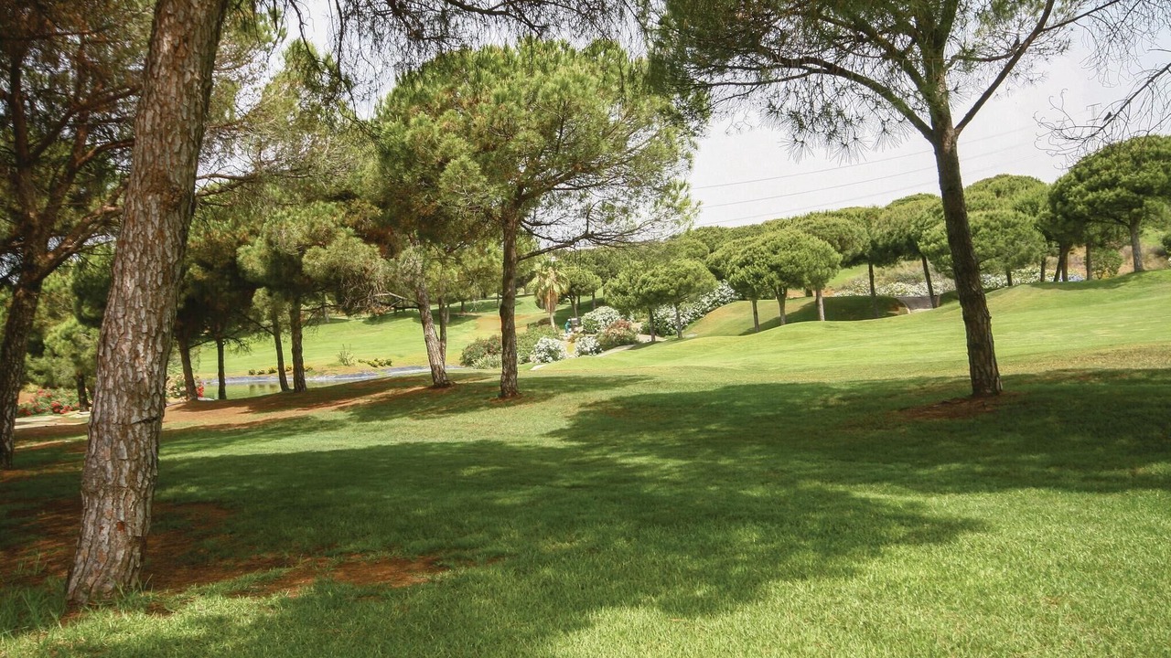 Photo of Others in Cabopino