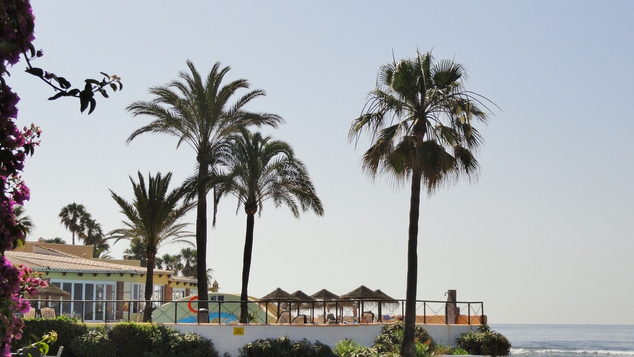 Photo of Others in Marbella