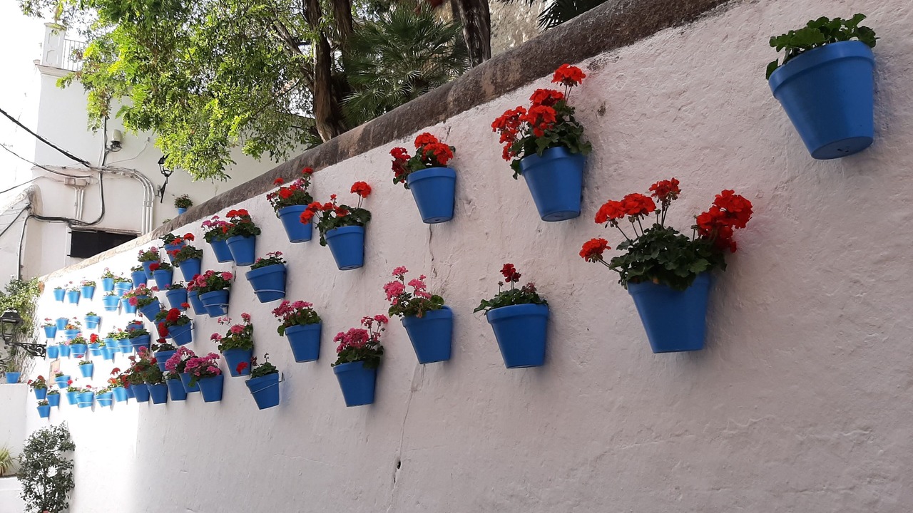 Photo of Outdoor in Cabopino