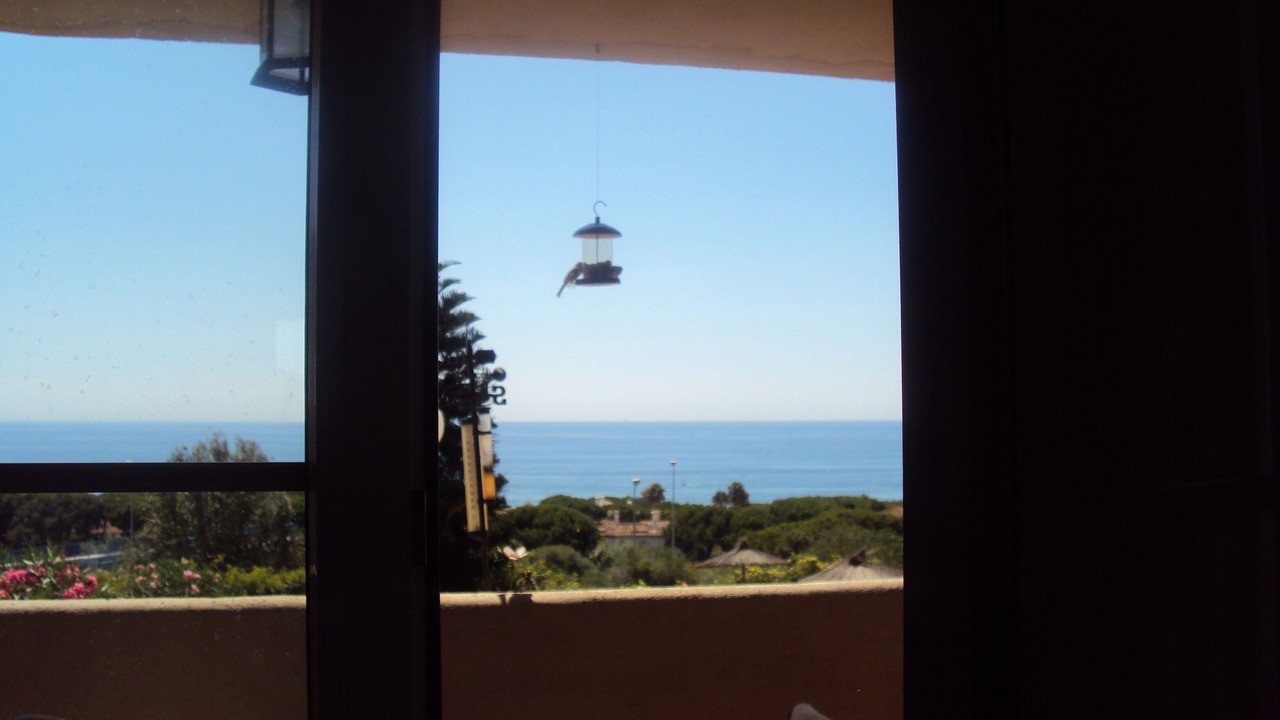 Photo of Others in Cabopino