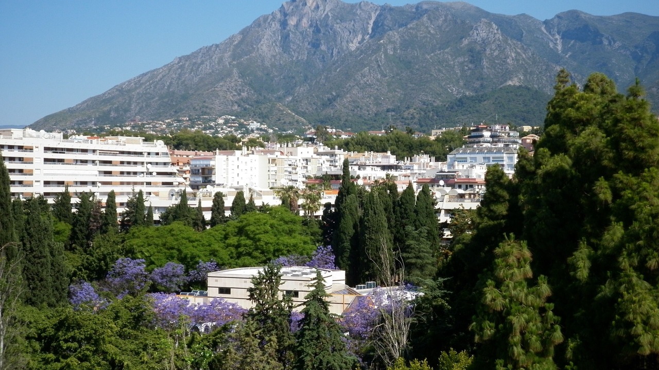 Photo of Others in Marbella City Centre