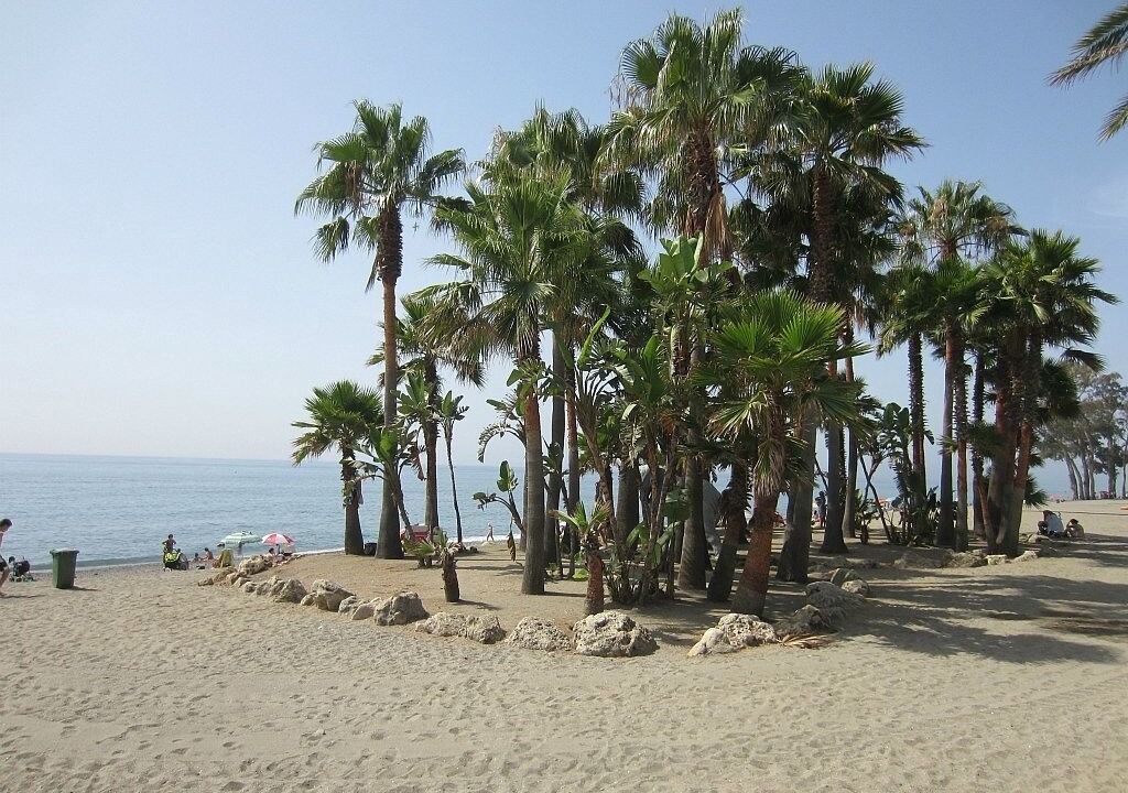 Photo of Others in San Pedro de Alcantara