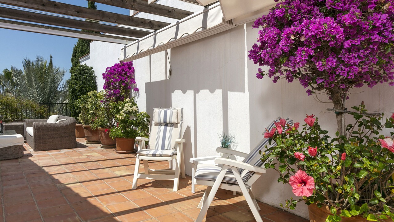 Photo of Others in Marbella
