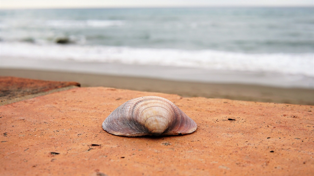 Photo of Others in Urbanizacion Costabella