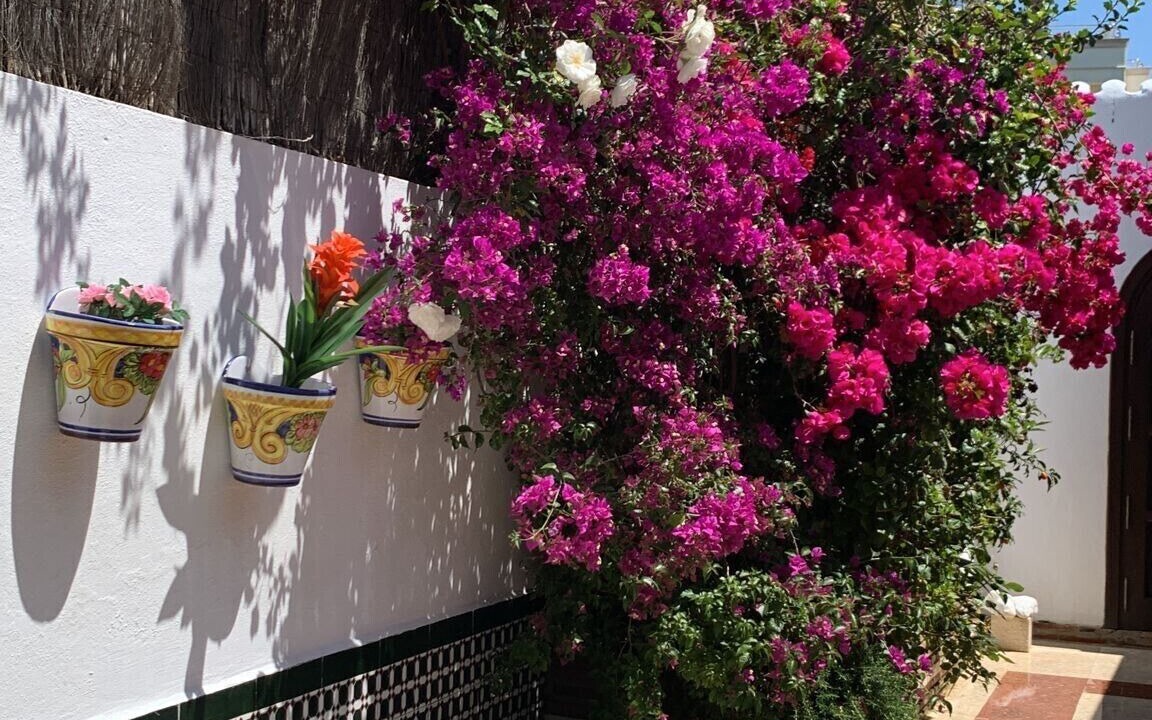 Photo of Outdoor in Golden Mile