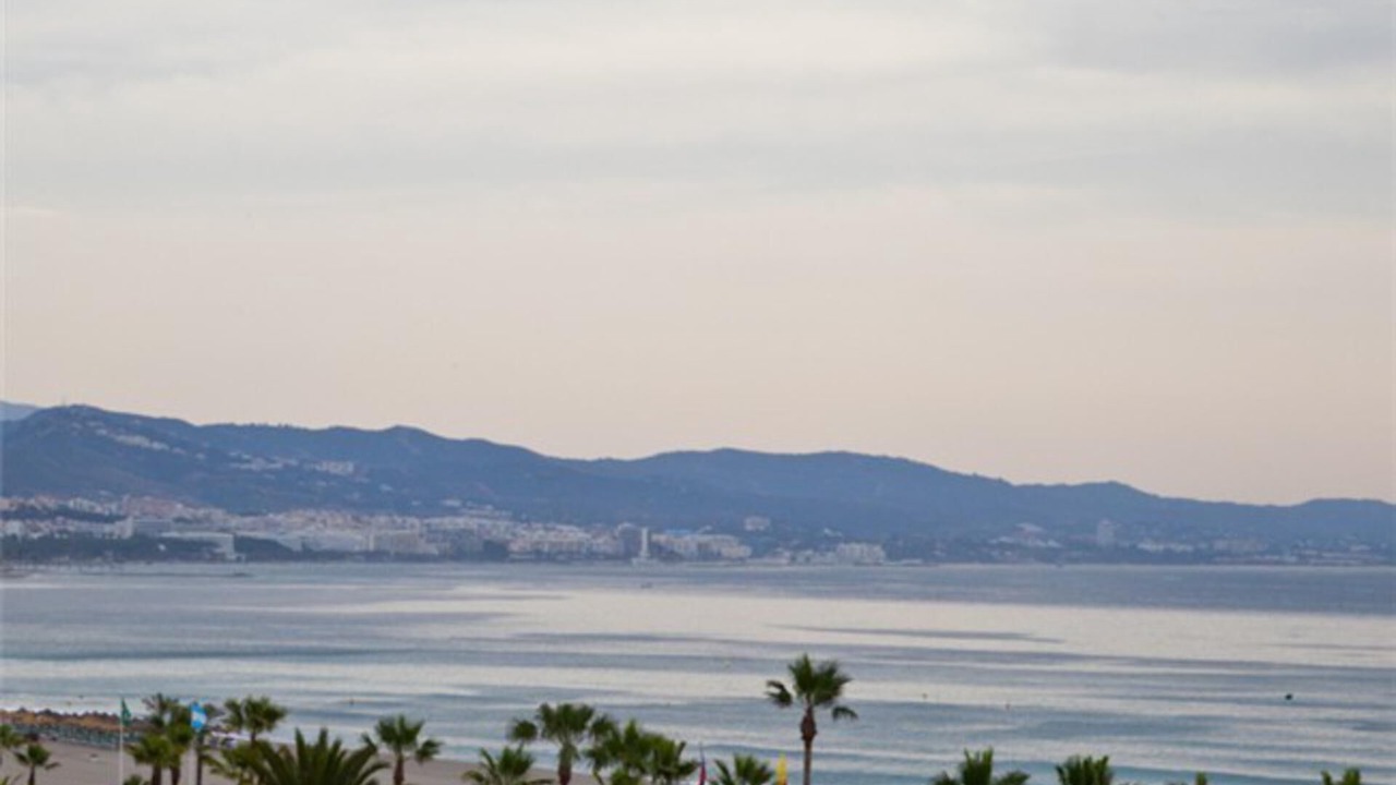 Photo of Others in Puerto Banus