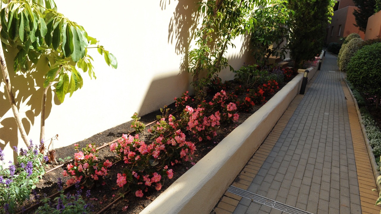 Photo of Others in Marbella