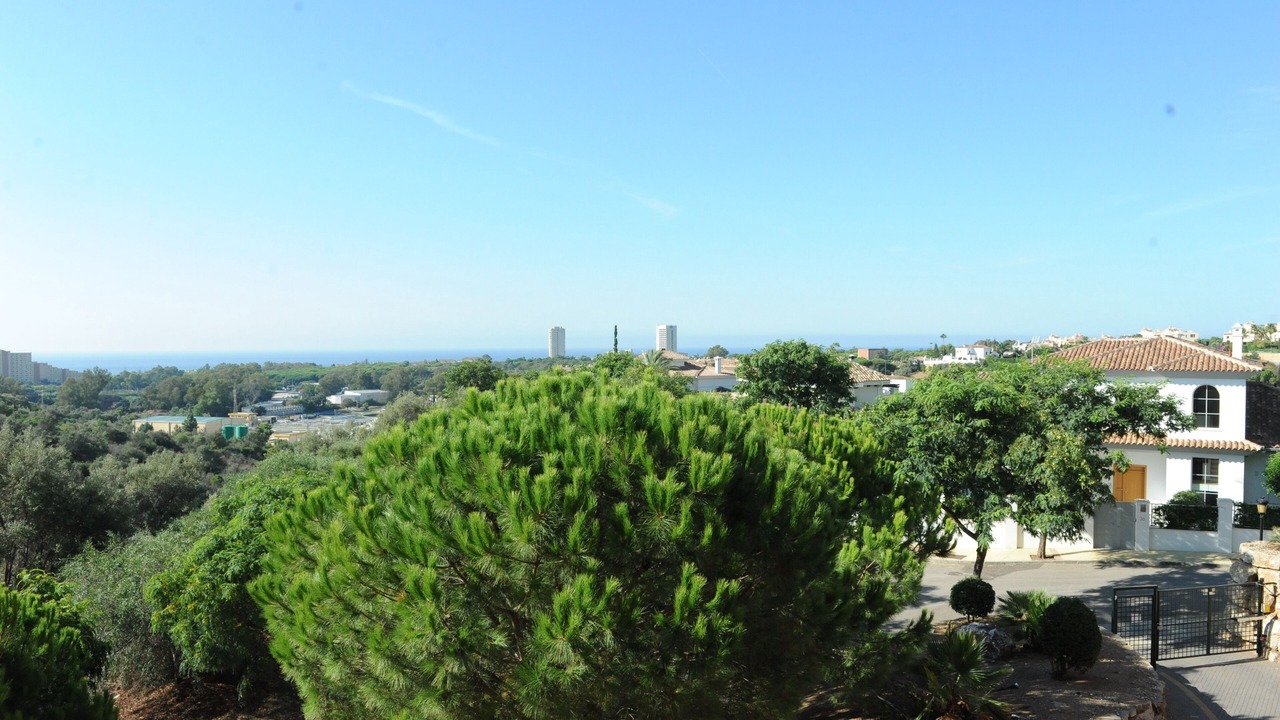 Photo of Others in Marbella