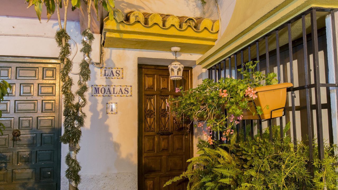 Photo of Outdoor in Marbella City Centre